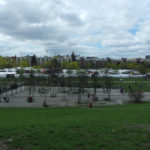 Mauerpark Flohmarkt, Berlin. Photo by Scarlett Messenger