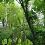 Bürgergarten, Hameln. Photo by Scarlett Messenger