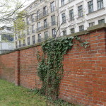 Alter Garnisonsfriedhof, Berlin. Photo by Scarlett Messenger