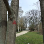 Near the Denkmal für die im Nationalsozialismus verfolgten Homosexuellen, Berlin. Photo by Scarlett Messenger