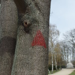 Graffiti Near the Homosexual Holocaust Memorial , Berlin. Photo by Scarlett Messenger