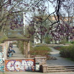 Volkspark am Weinbergsweg, Berlin. Photo by Scarlett Messenger