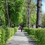 Dreifaltigkeitsfriedhof II - Trinity Cemetery, Berlin. Photo by Scarlett Messenger