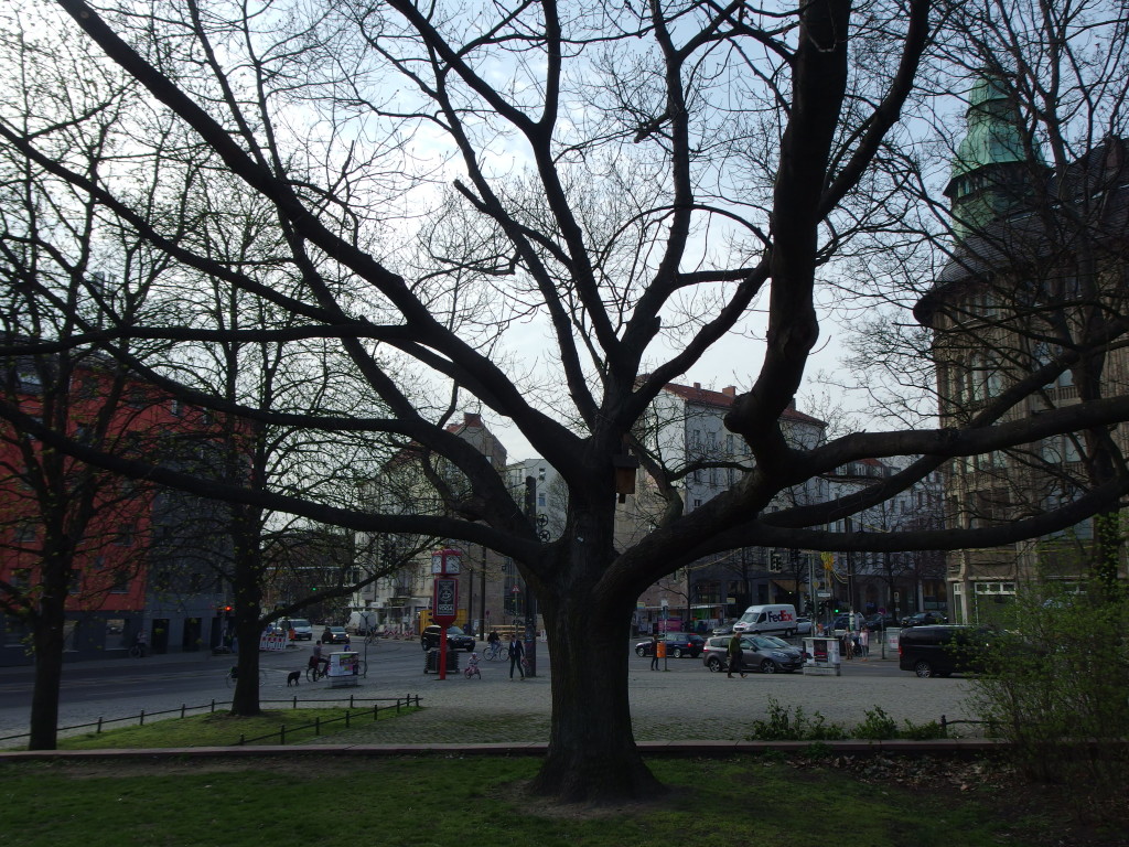 Volkspark am Weinbergsweg, Berlin. Photo by Scarlett Messenger