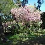 Dreifaltigkeitsfriedhof II - Trinity Cemetery, Berlin. Photo by Scarlett Messenger