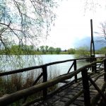 Bridge, Opfermoor Vogtei. Photo by Scarlett Messenger