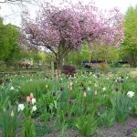 Bürgergarten, Hameln. Photo by Scarlett Messenger