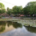 Volkspark am Weinbergsweg. Berlin. Photo by Scarlett Messenger