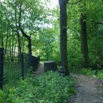 Trees, Treptower Park, Berlin. Photo by Scarlett Messenger