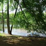 Hel's Pond, Berlin. Photo by Scarlett Messenger