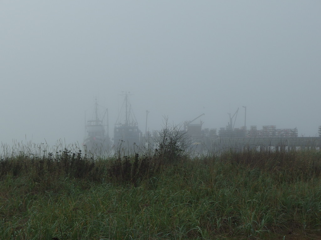 Fishing Boats, Gooseberry Point, WA. Photo by Scarlett Messenger