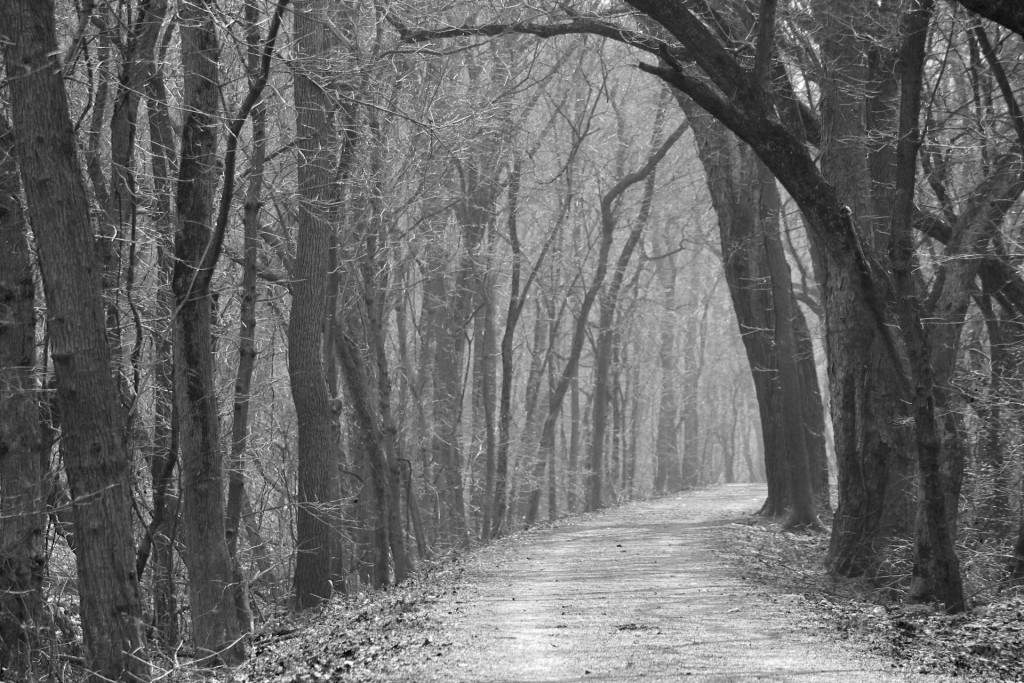 Haunted Path by JB Stran