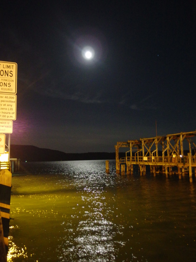 Moonlight, Gooseberry Point, WA. Photo by Scarlett Messenger